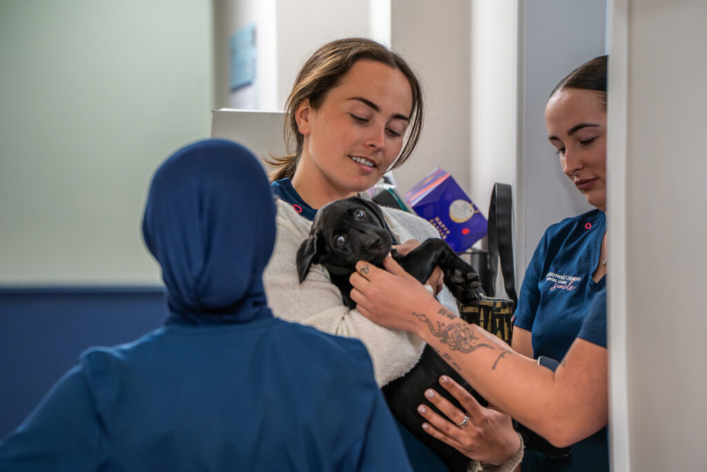 Cotteswold Childrens Dentistry 1024x683